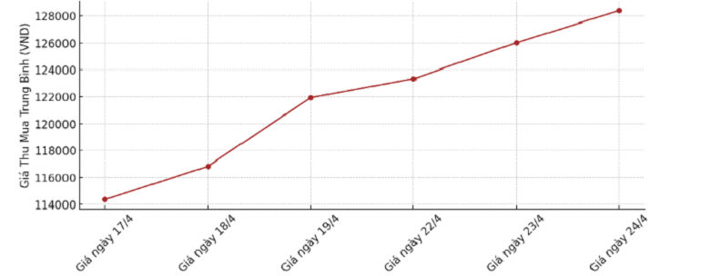 Biểu đồ giá cà phê ngày 24.4.2024-min_1713930666.png